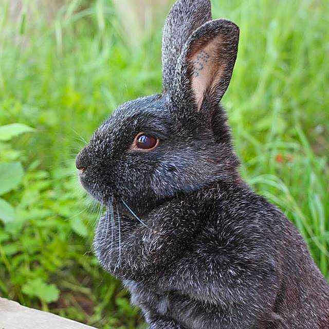 Monique a rejoint le concours — aidez-le/la à gagner de superbes lots !