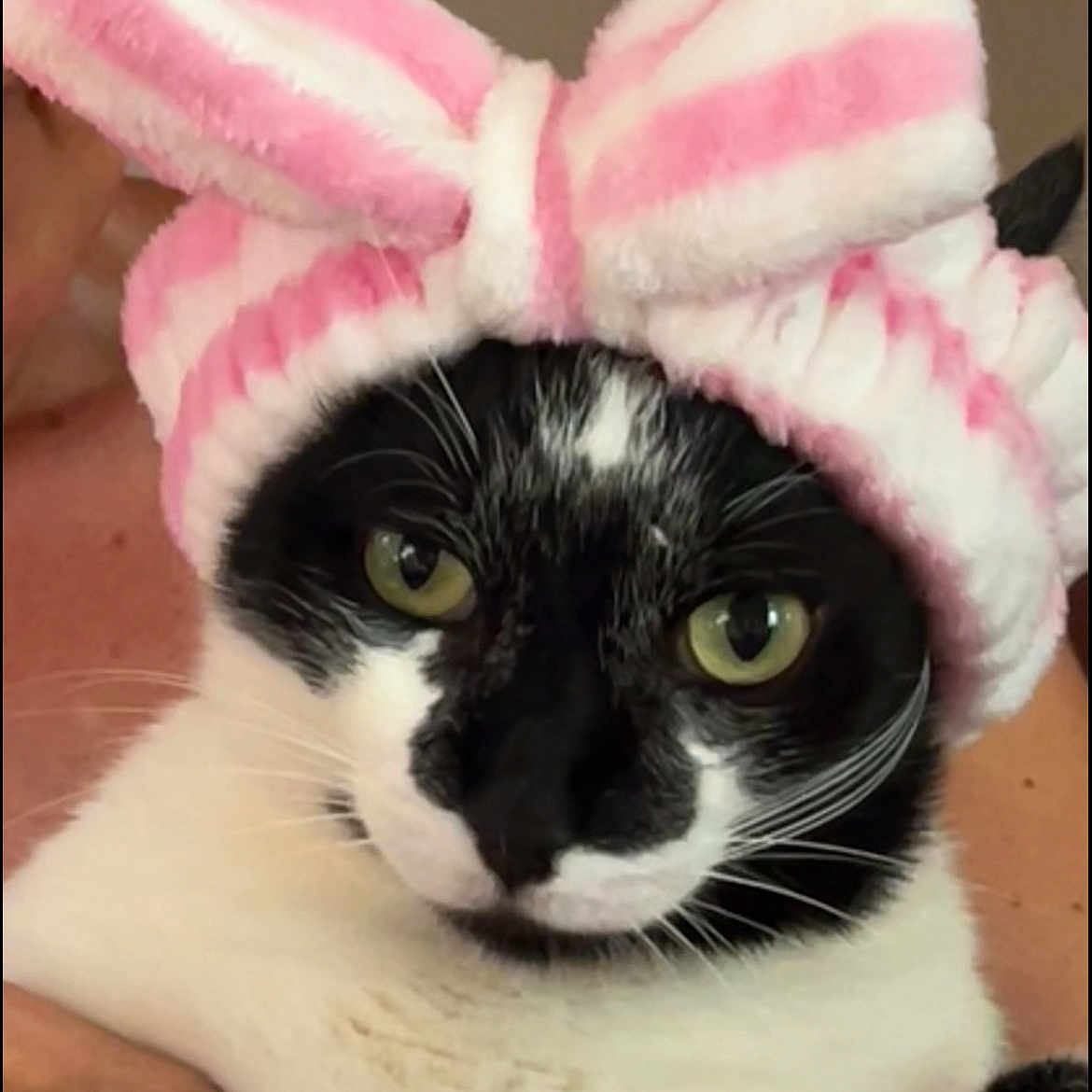 Figaro