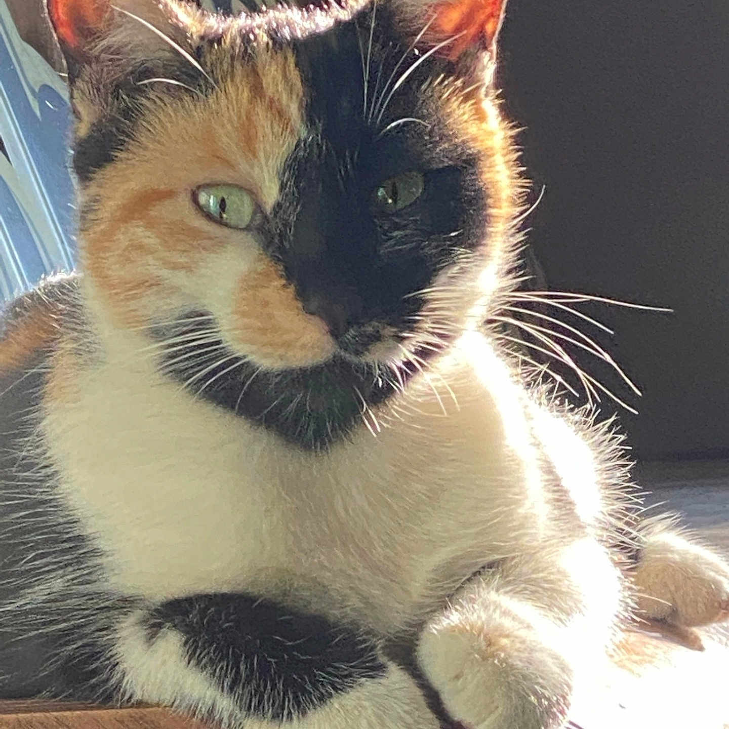 Luna
