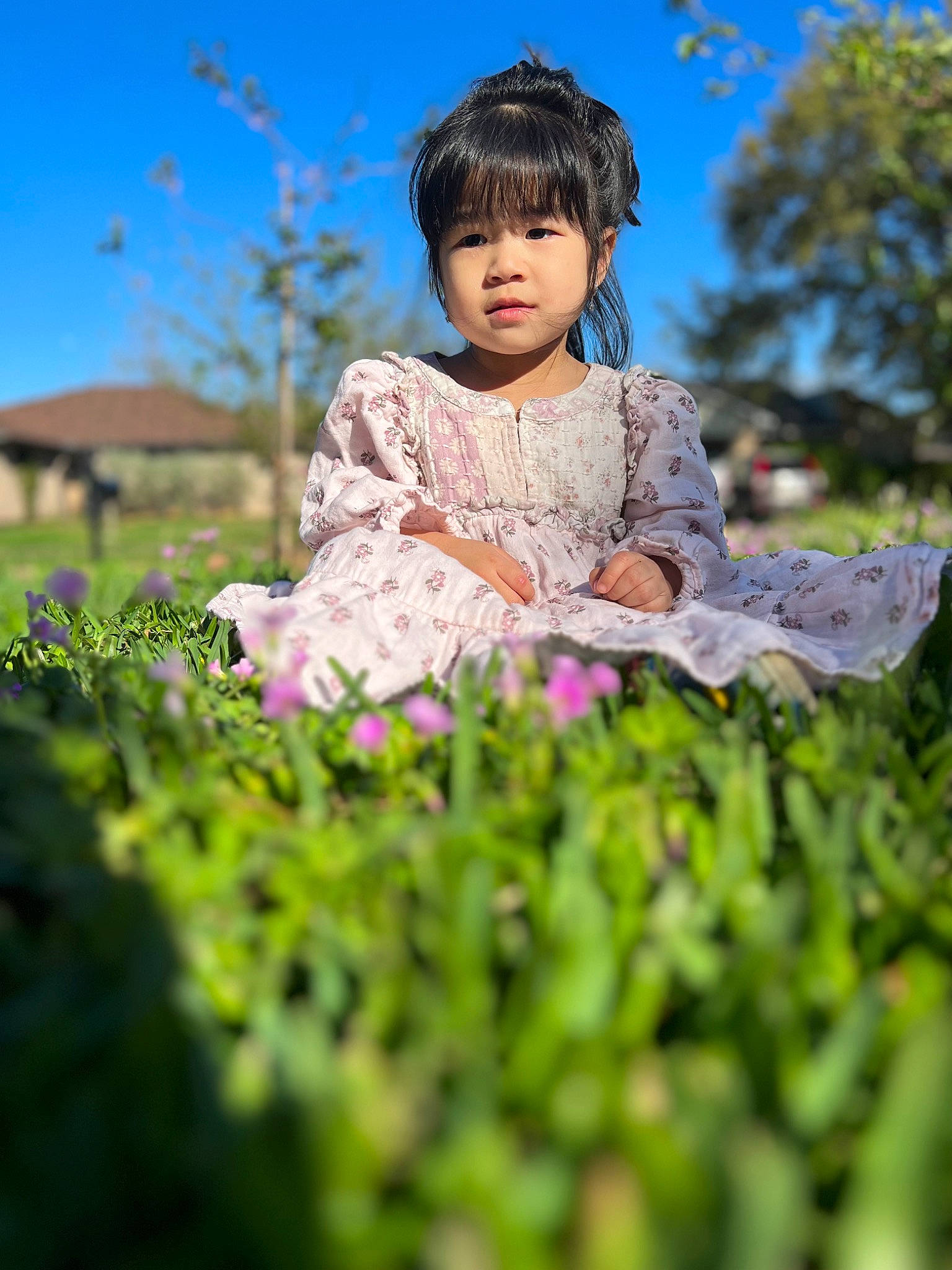 Iris joined the competition — help win amazing prizes! child, dress, eye, flash_photography, grass, grassland, hair, happy, head, landscape, lawn, leisure, meadow, people_in_nature, person, plant, recreation, sky, sunlight, toddler