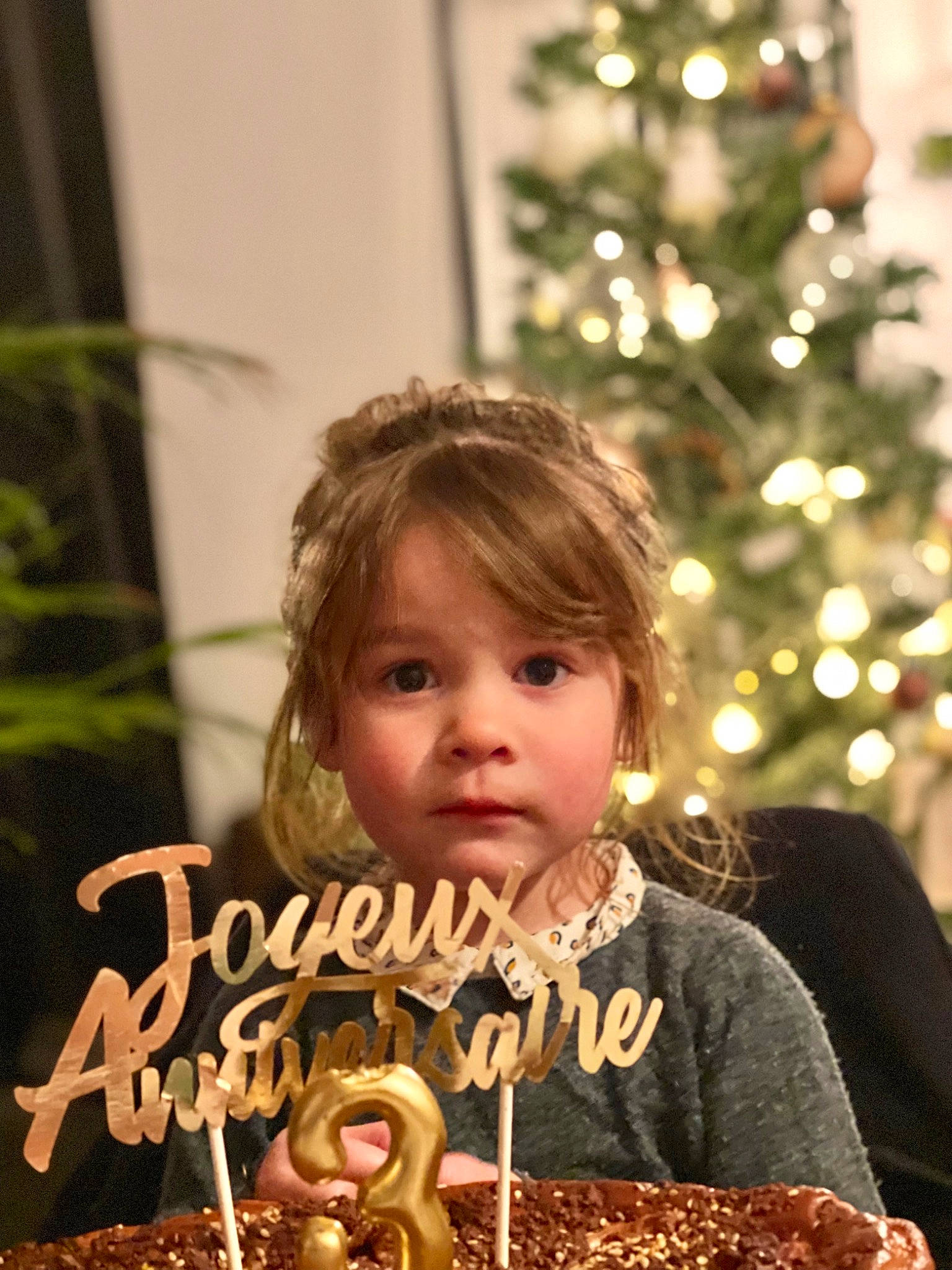 Elya participe au concours pour gagner de l'argent avec cette photo : baking, beauty, blond, brown_hair, christmas, christmas_decoration, christmas_ornament, christmas_tree, cuisine, dessert, event, food, happy, holiday, icing, junk_food, person, plant, recipe, sweetness