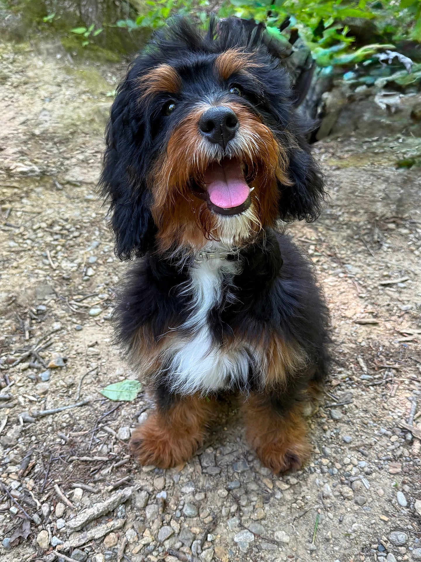 Oakley