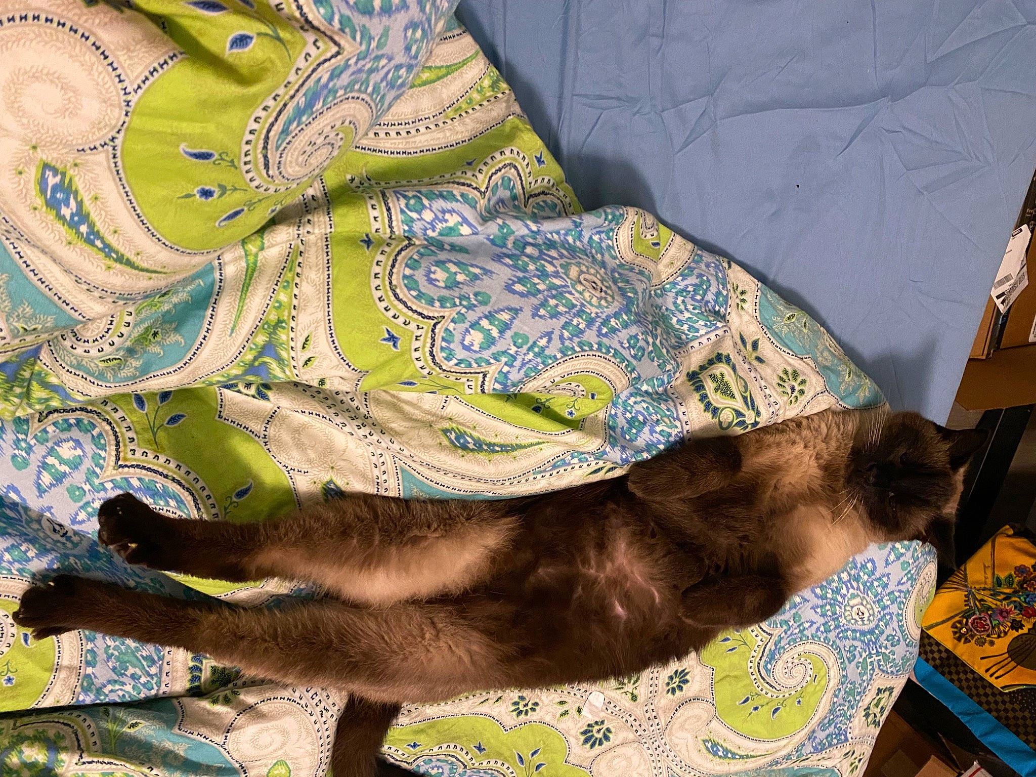 Dexter is registered to the contest to win money with this photo: art, canidae, carnivore, dog, dog_breed, drawing, fashion_accessory, fawn, illustration, linens, motif, pack_animal, painting, pattern, sporting_group, tail, terrestrial_animal, visual_arts, working_animal