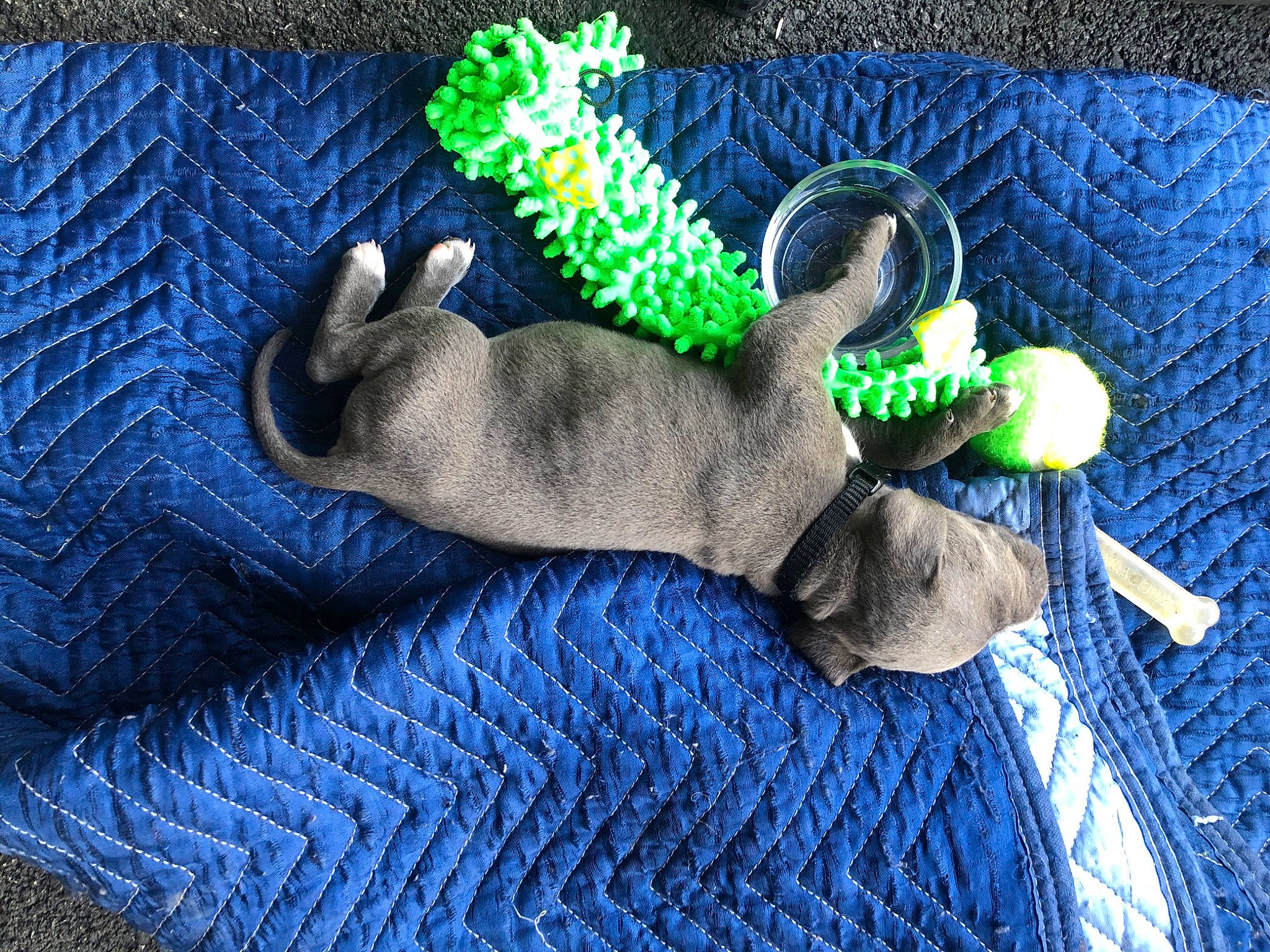 Haven joined the competition — help win amazing prizes! art, blue, craft, creative_arts, electric_blue, fashion_accessory, knitting, pattern, stuffed_toy, tail, textile, toy, wool, woolen, woven_fabric