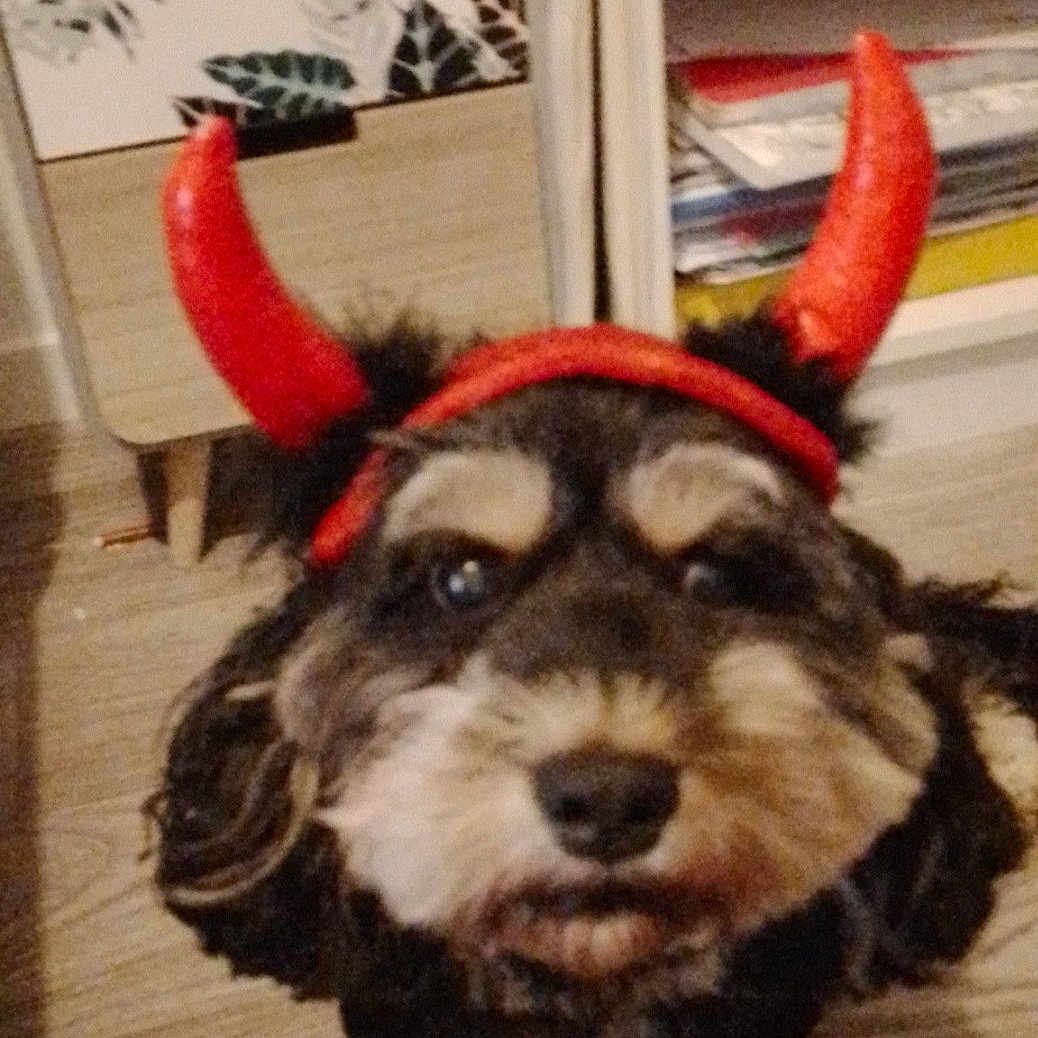 Missy