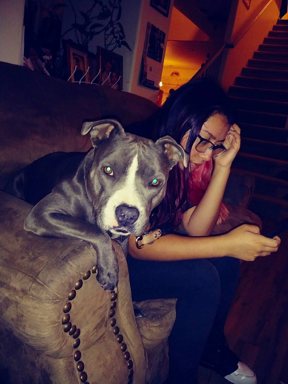 Noodles is registered to the contest to win money with this photo: canidae, carnivore, companion_dog, cool, darkness, dog, dog_breed, electric_blue, eyewear, fawn, flash_photography, fun, fur, glasses, happy, human_leg, lighting, night, sitting, sporting_group