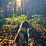 puppy, dog, forest, sunlight, autumn, leaves, nature, outdoor, animal, pet, sunbeam, trees, sitting, young, fur, daylight, scenery, wilderness, peaceful, canine