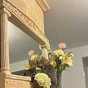 Grisou a rejoint le concours — aidez-le/la à gagner de superbes lots ! cat, tabby_cat, mirror, reflection, bouquet, roses, calla_lilies, vase, mantel, ornate_mantel, stone_carving, indoor, home_decor, floral_arrangement, pet_collar, sitting, looking, feline, striped_fur, gaze