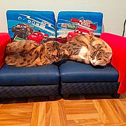 Nenette Et Toutoune a rejoint le concours — aidez-le/la à gagner de superbes lots ! brown, carnivore, cat, comfort, couch, felidae, flooring, furniture, hardwood, interior_design, laminate_flooring, living_room, mammal, rectangle, small_to_medium_sized_cats, studio_couch, textile, whiskers, wood, wood_flooring