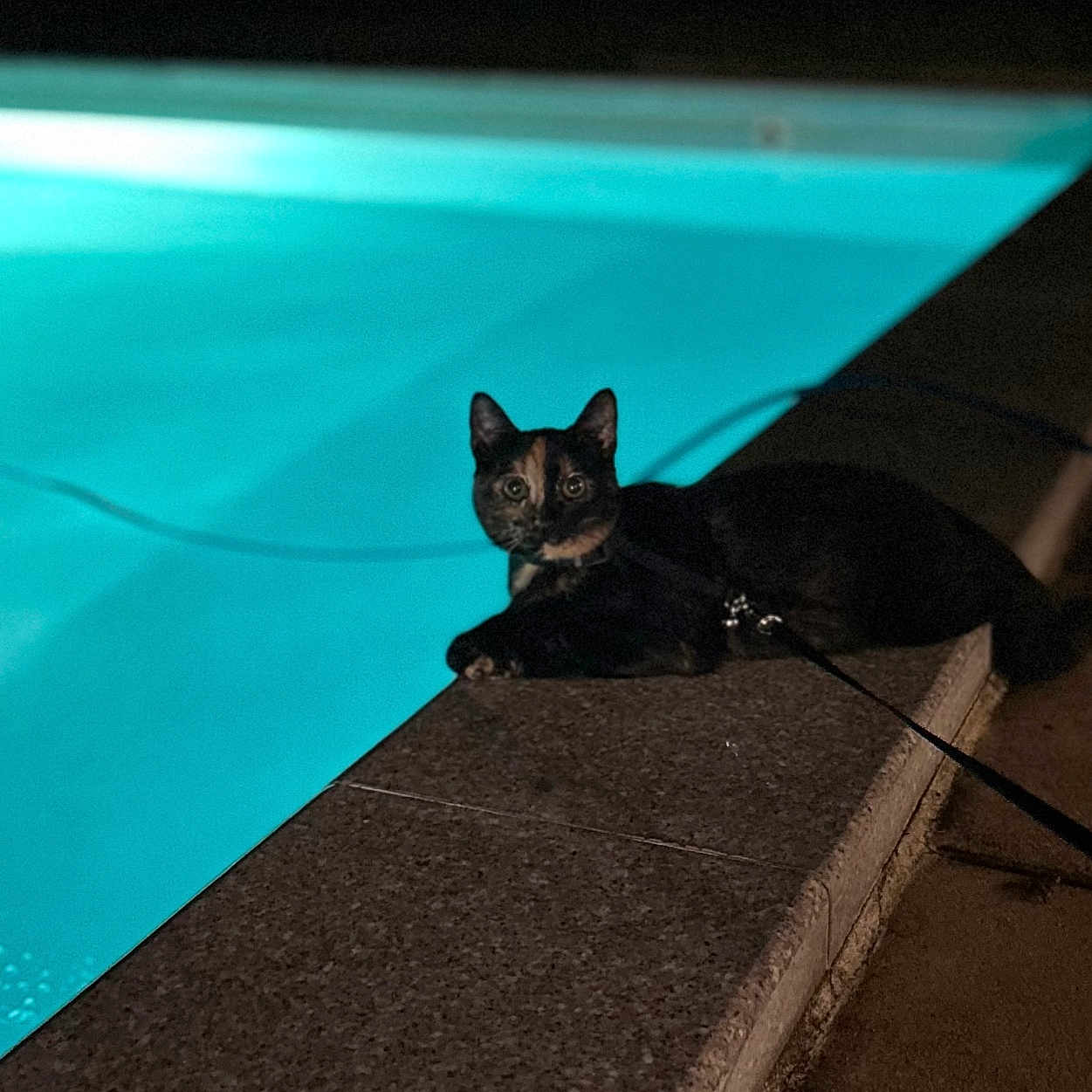 Kona