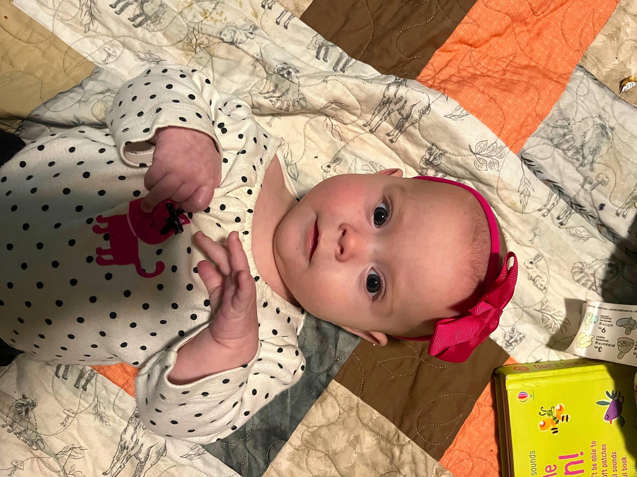 Saige joined the competition — help win amazing prizes! adaptation, baby, baby_products, baby_toddler_clothing, cheek, child, design, eye, happy, head, human_body, iris, linens, nose, pattern, person, pink, skin, textile, toddler