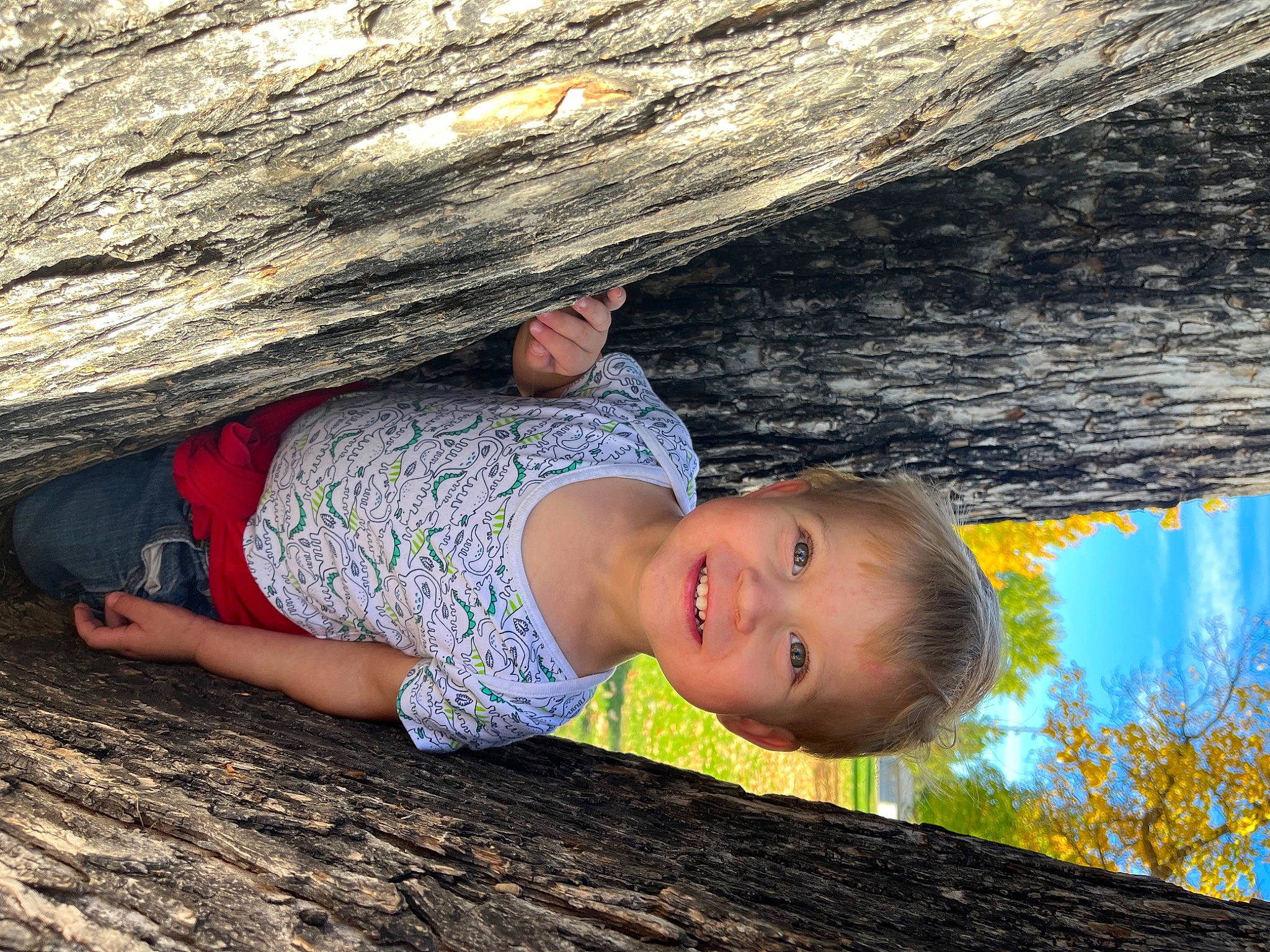 Kit joined the competition — help win amazing prizes! adaptation, bedrock, branch, fun, grass, happy, human_body, joy, leisure, natural_environment, nature, organism, people_in_nature, person, plant, smile, toddler, tree, trunk, wall