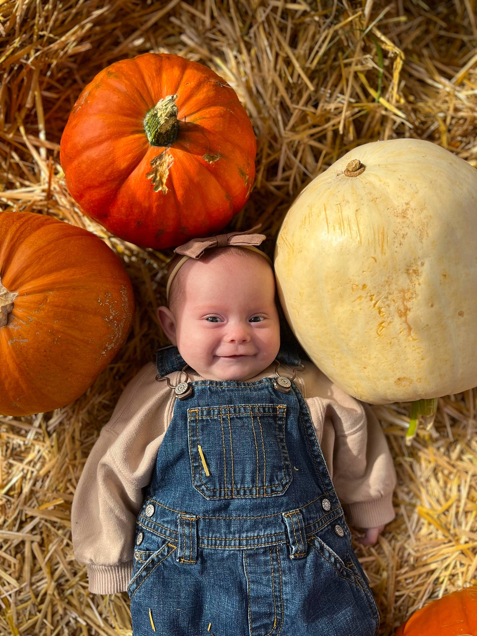 Saige is registered to the contest to win money with this photo: adaptation, baby_toddler_clothing, calabaza, cucurbita, dress, eye, facial_expression, gourd, grass, happy, head, joy, natural_foods, orange, people_in_nature, person, photograph, plant, pumpkin, smile
