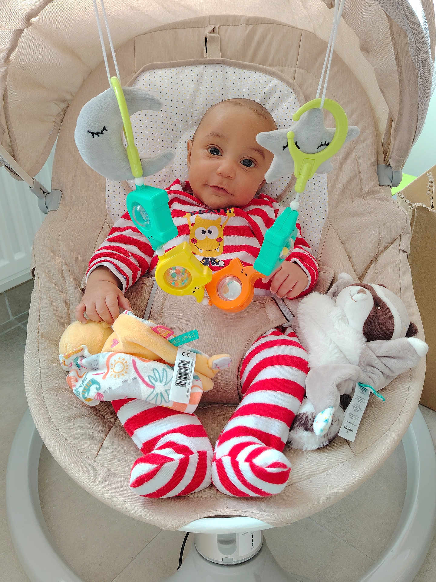 Silaé a rejoint le concours — aidez-le/la à gagner de superbes lots ! baby, infant, bouncer, onesie, striped_pajamas, red_stripes, hanging_toy, rattle, plush_moon, plush_star, stuffed_toy, raccoon_plush, toy_tag, barcode_label, baby_seat, smiling_face, big_eyes, baby_hands, tiled_floor, cardboard_box