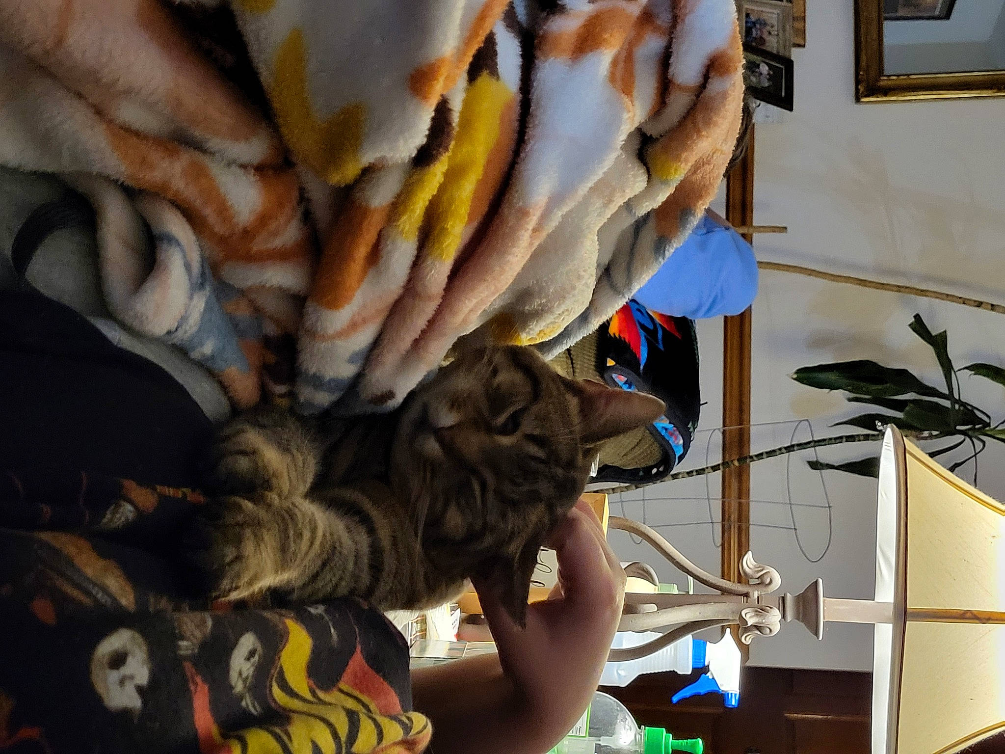 Tipper is registered to the contest to win money with this photo: art, artist, fish, flesh, fur, meat, oily_fish, picture_frame, room, salted_fish, seafood, tree, visual_arts, wood