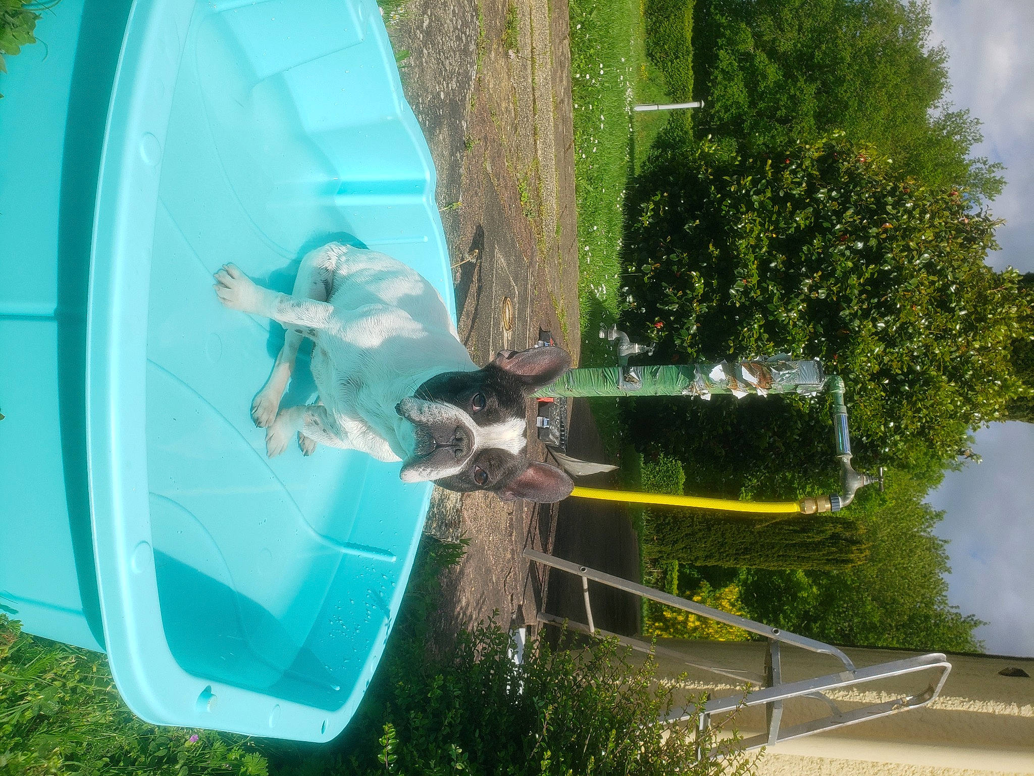 Manny participe au concours pour gagner de l'argent avec cette photo : azure, chute, condominium, fun, grass, green, landscape, leisure, plant, pole, recreation, reflection, shrub, sky, swimming_pool, tree, urban_design, water