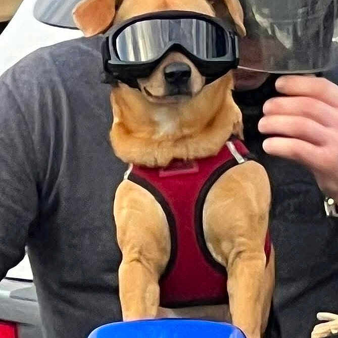 Rosco