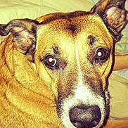 Maezia participe au concours pour gagner de l'argent avec cette photo :