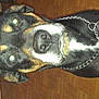 Blade participe au concours pour gagner de l'argent avec cette photo :