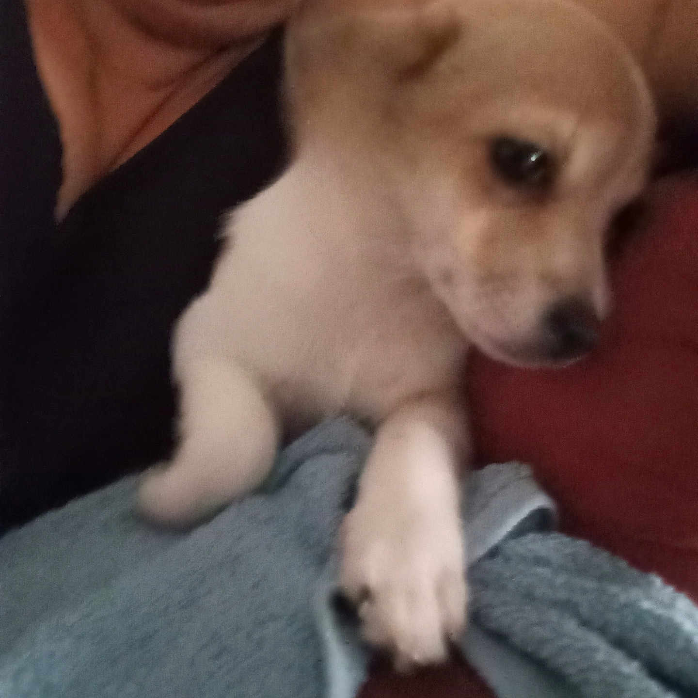 Charlie