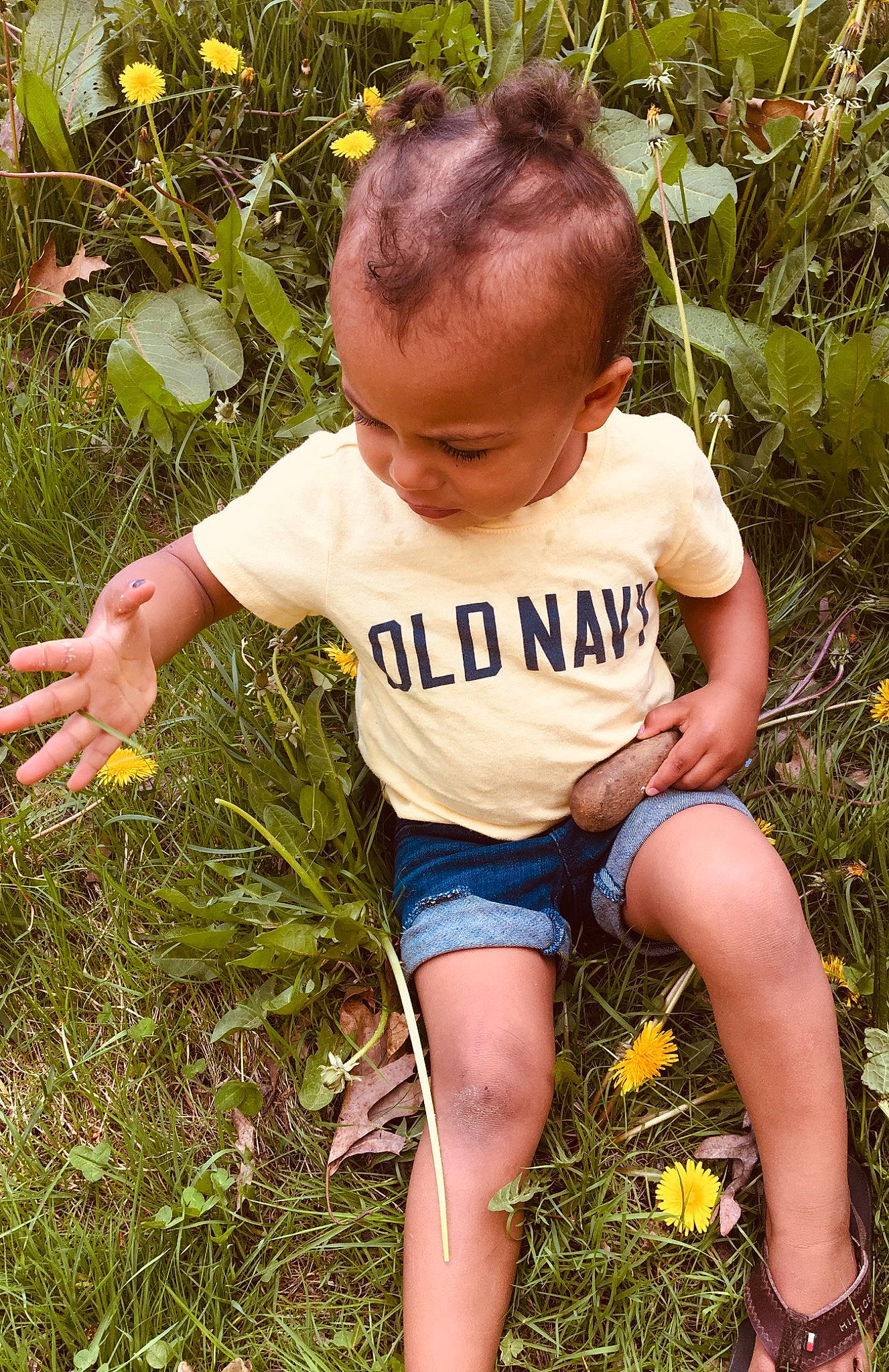 Aiyana joined the competition — help win amazing prizes! adaptation, child, grass, grass_family, person, plant, play, sitting, smile, toddler