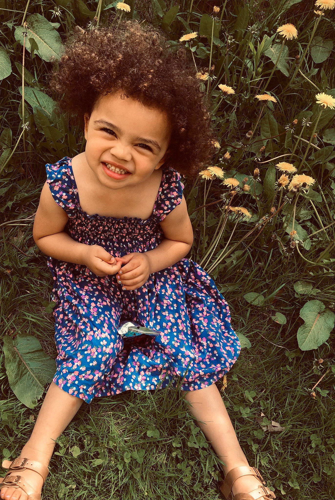 Amiah is registered to the contest to win money with this photo: beauty, blue, brown, child, child_model, dress, eye, face, facial_expression, grass, green, joy, lady, lip, people_in_nature, person, photo_shoot, shoulder, sitting, skin
