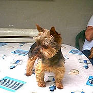 Athos participe au concours pour gagner de l'argent avec cette photo :