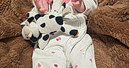 Azalea joined the competition — help win amazing prizes! baby, blanket, child, clothing, cow_toy, cute, face, fur_texture, hands, happy, indoor, infant, lying_down, onesie, person, plush_toy, portrait, smiling, soft_toy, stuffed_animal