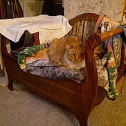 Fatty Fat Fat joined the competition — help win amazing prizes! cat, orange_cat, wooden_chair, blanket, cushion, indoor, carpet, furniture, cozy, pet, animal, relaxing, household_items, table, bread, fabric, carpeted_floor, domestic, comfort, resting