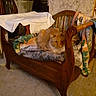 cat, orange_cat, wooden_chair, blanket, cushion, indoor, carpet, furniture, cozy, pet, animal, relaxing, household_items, table, bread, fabric, carpeted_floor, domestic, comfort, resting