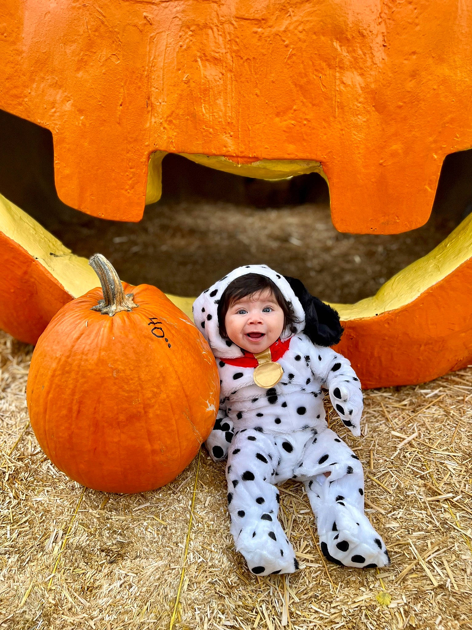 Anastasia is registered to the contest to win money with this photo: calabaza, cucurbita, eye, facial_expression, fruit, fun, gourd, grass, happy, landscape, natural_foods, orange, people_in_nature, person, plant, pumpkin, squash, toddler, tree, vegetable