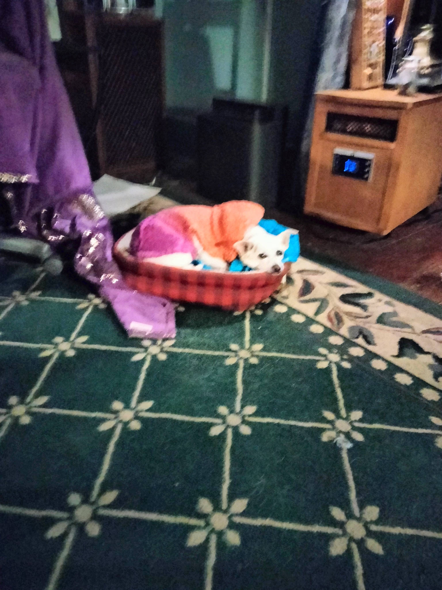 Rosie is registered to the contest to win money with this photo: baby_products, bag, carmine, carpet, child, comfort, fashion_accessory, floor, flooring, hardwood, linens, luggage_and_bags, magenta, pattern, room, rug, textile, throw_pillow, wood, woven_fabric