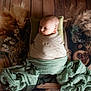 baby, blanket, cozy, dried_flowers, fabric, gaze, green, infant, natural_decor, newborn, pampas_grass, pillow, pinecones, portrait, prop_photography, soft_lighting, studio_setup, swaddle, texture, wooden_floor