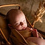baby, blanket, cheeks, close_up, cozy, dried_flowers, eyelashes, face, infant, newborn, nursery_prop, peaceful, portrait, rattan, sleeping, soft_light, swaddle, toes, warm_tones, wicker_basket