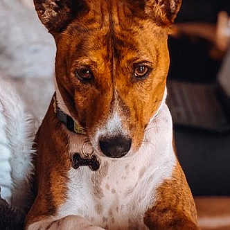 Titus