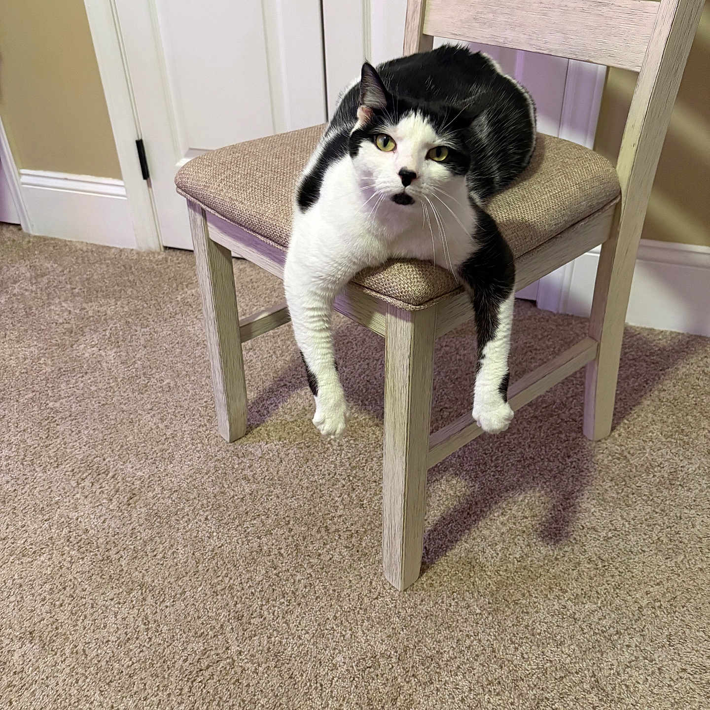 Luca