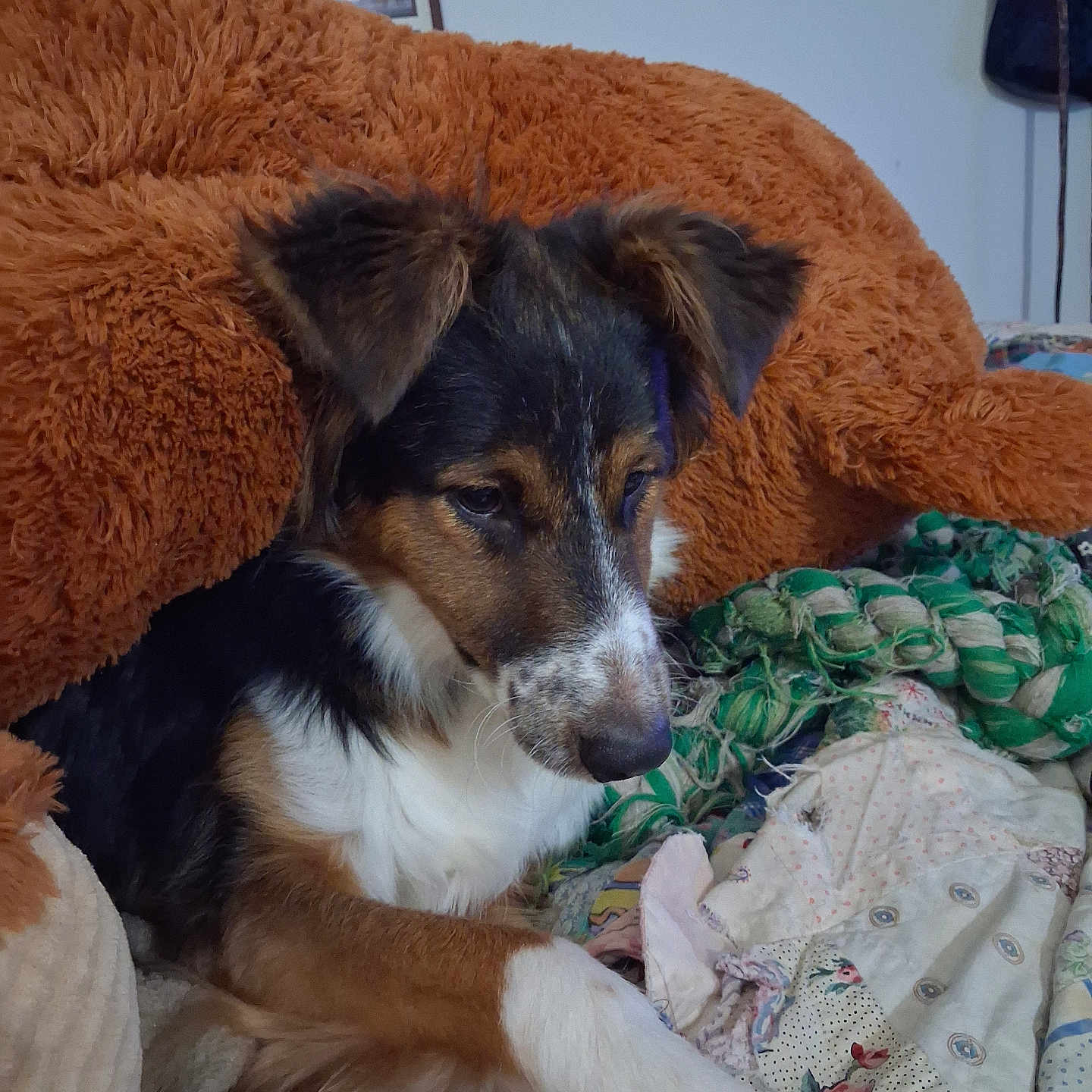 Max