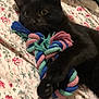 black_cat, cat, pet, animal, toy, rope_toy, bedspread, floral_pattern, paw, fur, indoor, cute, playful, resting, close_up, whiskers, claws, sleepy, domestic_cat, feline