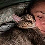 cat, person, sleeping, close_up, indoor, snuggling, fur, resting, cozy, pillow, pattern, face, pet, companion, cute, relaxing, animal, friendship, warm, intimate