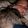 cat, person, bed, blanket, cuddle, sleeping, fur, smile, comfort, indoor, rest, closeup, face, pet, nap, cozy, warmth, animal, friendship, relaxation