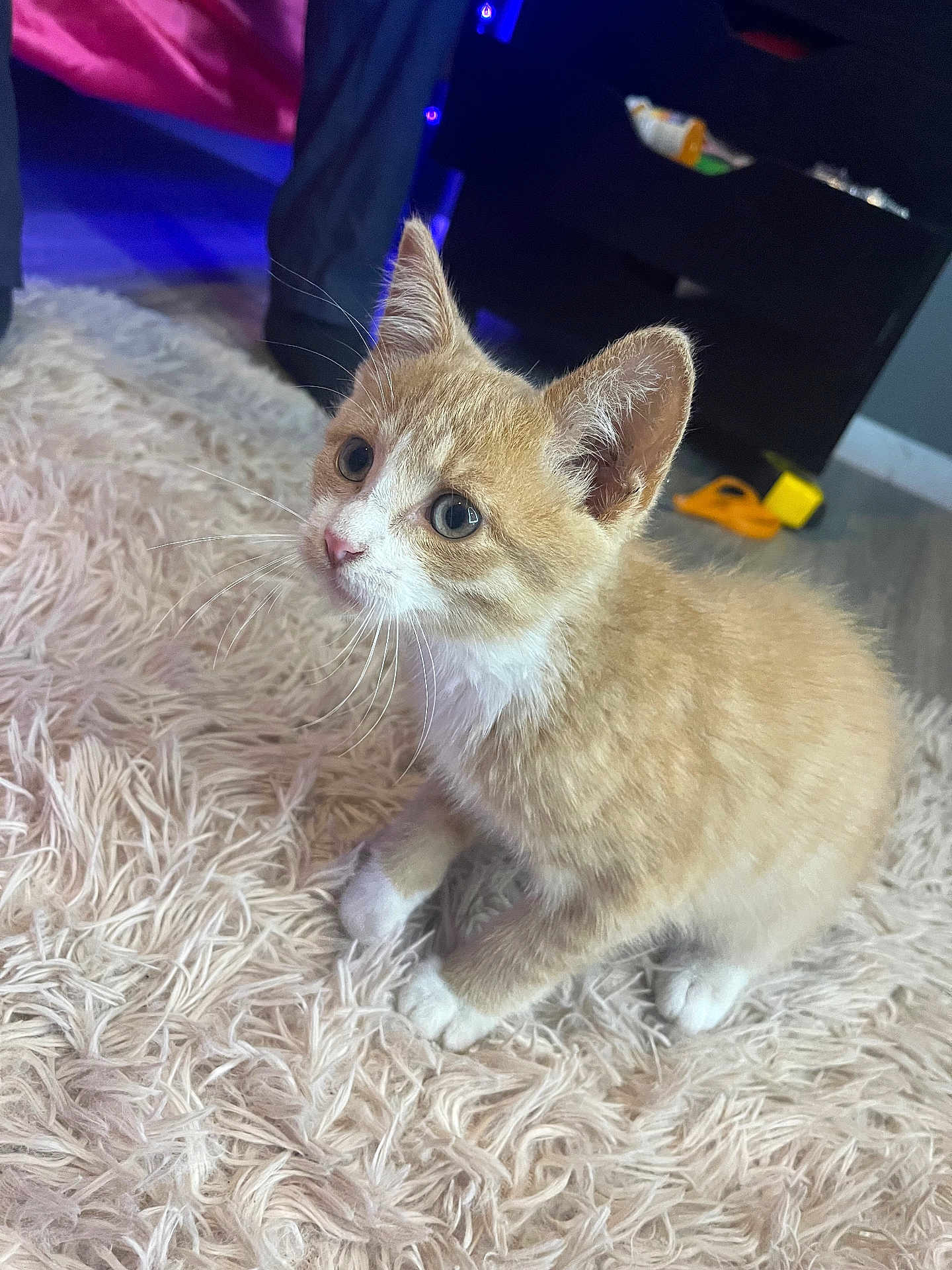 Simba