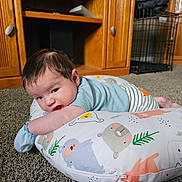 Colsen is registered to the contest to win money with this photo: baby, infant, pillow, animal_pattern, carpet, wooden_furniture, indoor, chewing, curious, child, person, blue_clothing, striped_pants, pet_crate, cozy, living_room, soft_lighting, crawling, cute, home