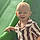 Ayden