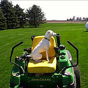 Jd John Deer is registered to the contest to win money with this photo: