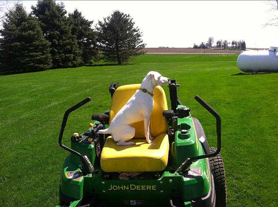 Jd John Deer