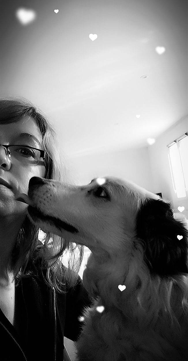 Bella a rejoint le concours — aidez-le/la à gagner de superbes lots ! black_and_white, borzoi, carnivore, companion_dog, dog, dog_breed, ear, eyewear, flash_photography, fun, gesture, happy, jaw, monochrome, monochrome_photography, snout, sporting_group, style, whiskers, white