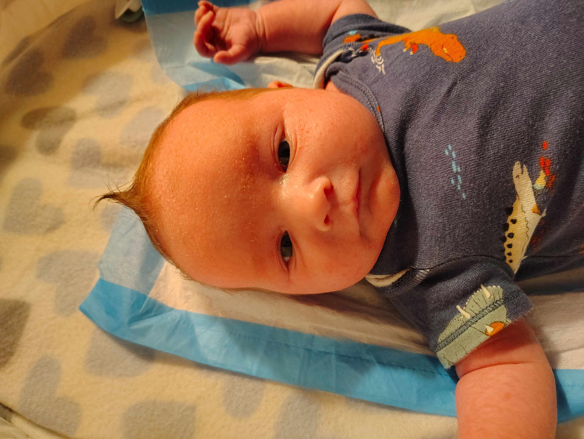 Dylan is registered to the contest to win money with this photo: baby, infant, child, onesie, dinosaur_print, blanket, blue_pad, lying_down, closeup, face, skin, arm, hand, hair, expression, cute, newborn, indoors, soft_lighting, portrait
