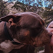 Uguette a rejoint le concours — aidez-le/la à gagner de superbes lots ! dog, person, outdoor, nature, trees, rock, affection, close_up, brown_fur, collar, face, cheek, pet, animal, daylight, love, portrait, woods, mountain, snout