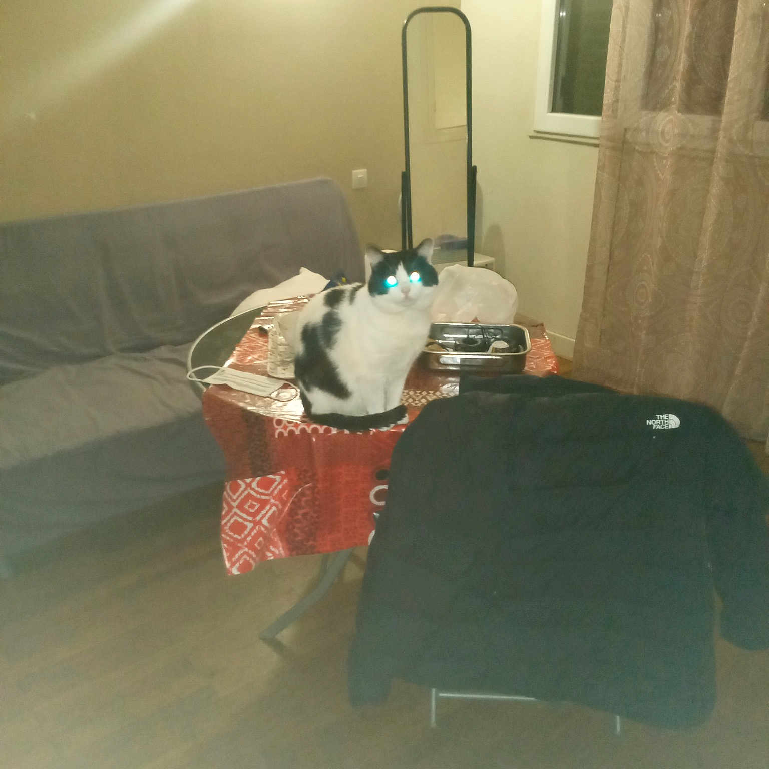 Victor participe au concours pour gagner de l'argent avec cette photo : bag, ceiling, couch, curtain, door, event, floor, flooring, fur, hardwood, light_fixture, lighting, linens, luggage_and_bags, machine, plaster, room, toy, wood