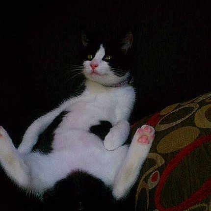 Zoe is registered to the contest to win money with this photo: